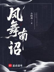 风舞南诏 风舞南诏