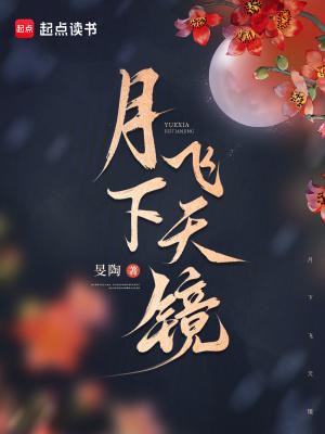 月下飞天镜 月下飞天镜