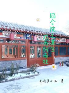 四合院之重生成为何雨柱 四合院之重生成为何雨柱