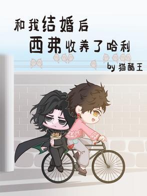 和我结婚后，西弗收养了哈利